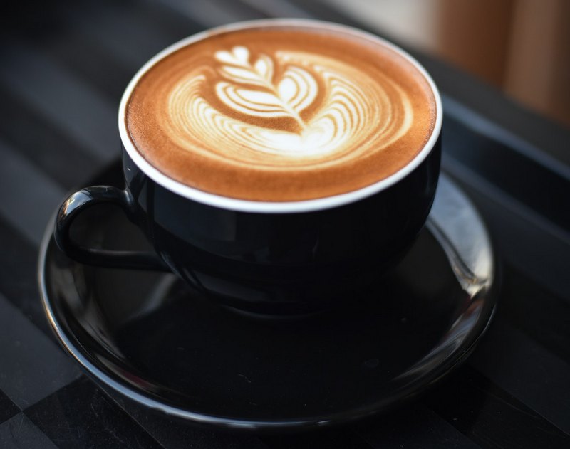 Coffee plant